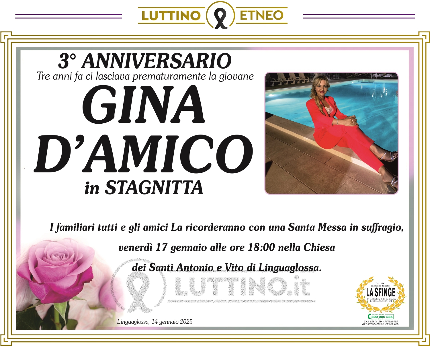 Gina D Amico